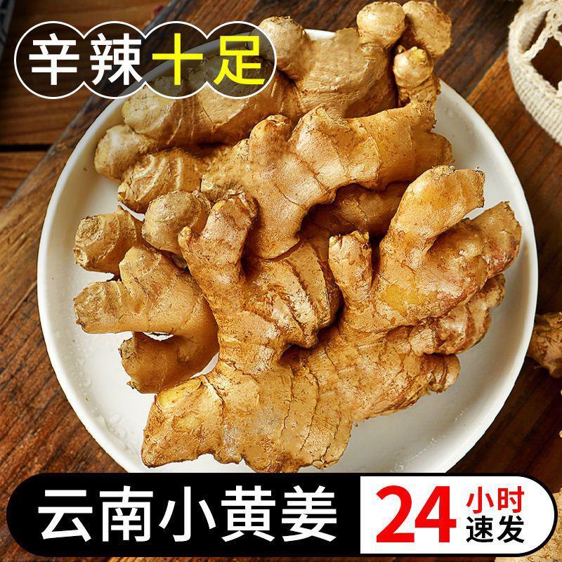 云南小黄姜新鲜姜现挖生姜罗平土姜月子姜老嫩姜蔬菜整箱
