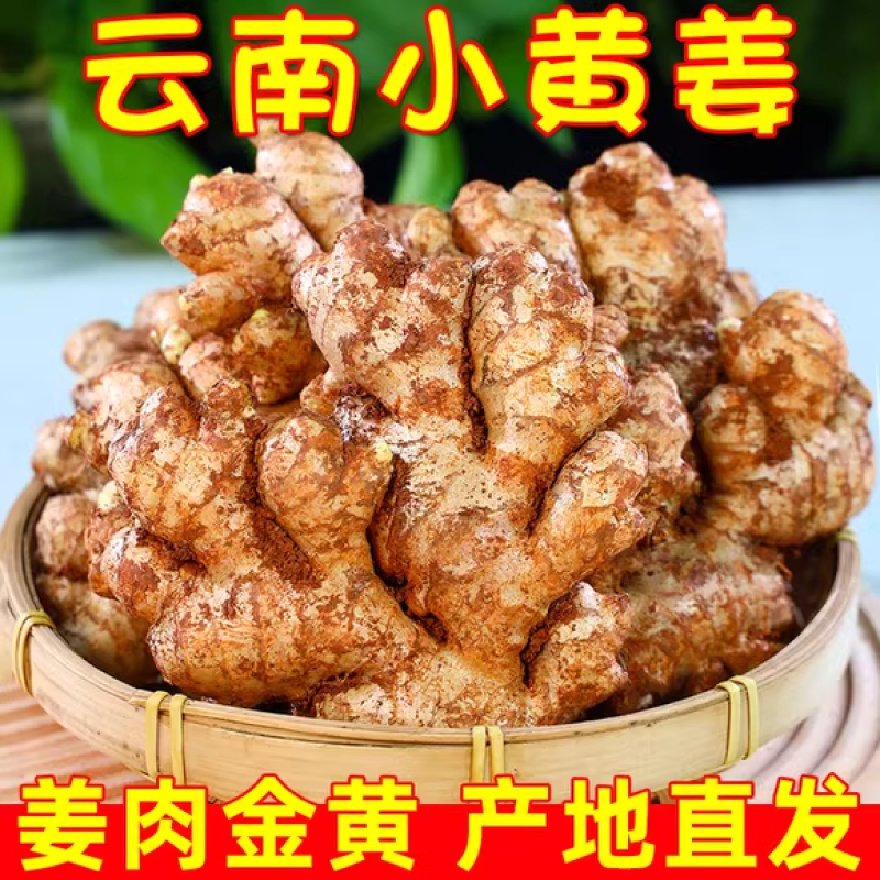 云南小黄姜新鲜姜现挖生姜罗平土姜月子姜老嫩姜蔬菜整箱