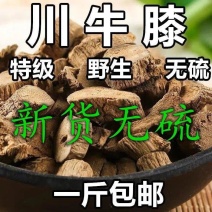 川牛膝中药材川牛膝无硫新货一斤包邮