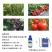 先正达益施帮叶面肥氨基酸水溶肥料果树蔬菜全码1000ml