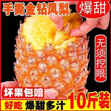 【爆甜多汁】10斤海南金钻凤梨新鲜水果无眼手撕金钻凤梨