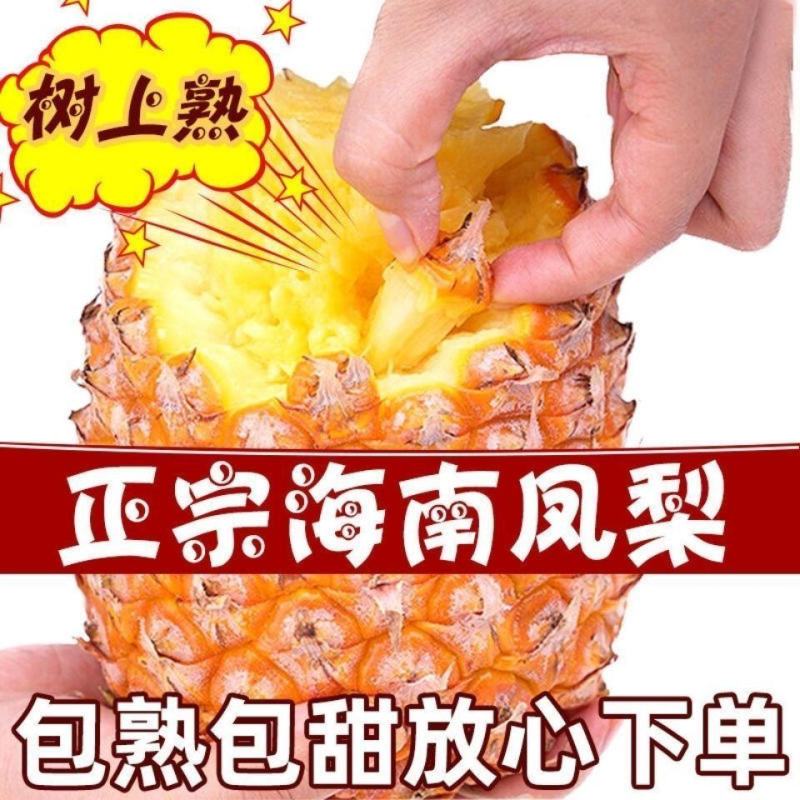 【爆甜多汁】10斤海南金钻凤梨新鲜水果无眼手撕金钻凤梨