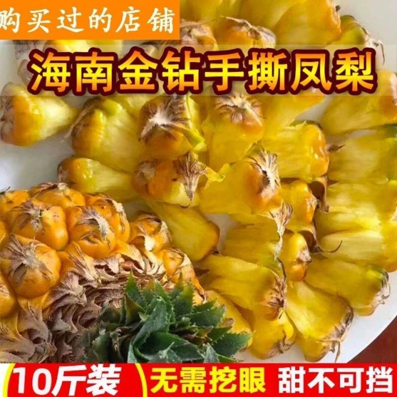 【爆甜多汁】10斤海南金钻凤梨新鲜水果无眼手撕金钻凤梨