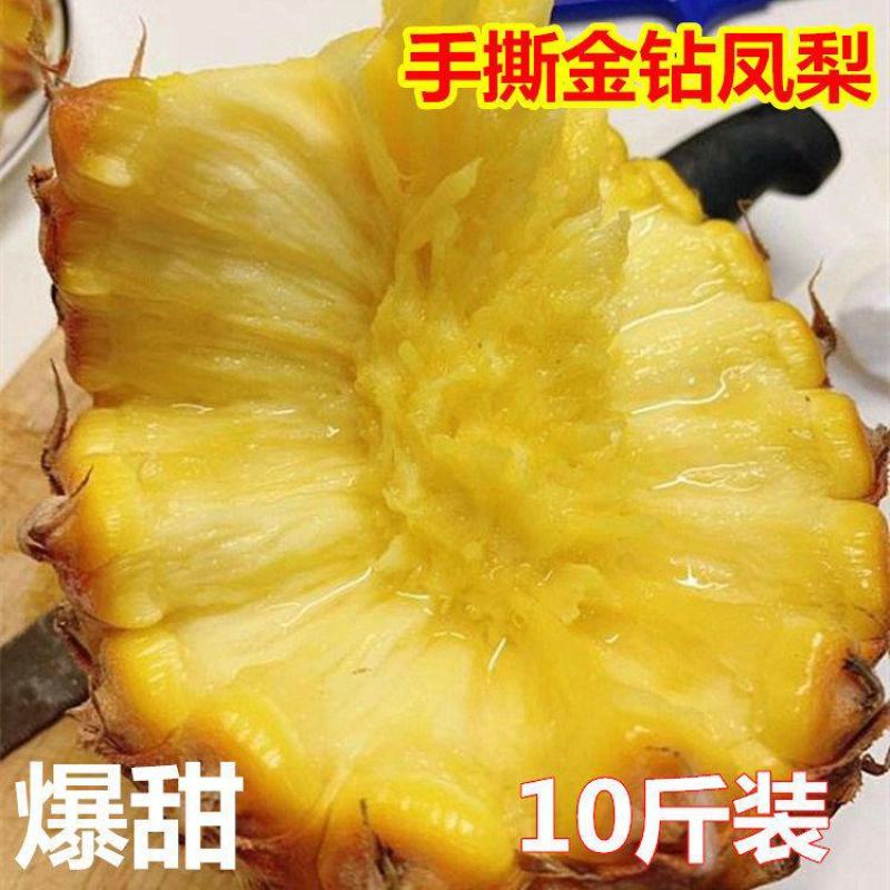 【爆甜爆汁】10斤海南金钻凤梨新鲜水果手撕无眼凤梨包邮