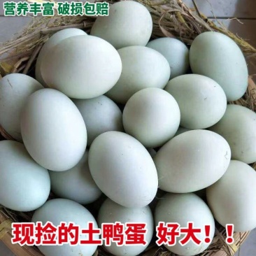 湖区散养生鸭蛋大个土鸭蛋湖里放养新鲜鸭蛋笨鸭蛋土鸭蛋
