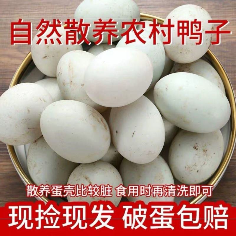 湖区散养生鸭蛋大个土鸭蛋湖里放养新鲜鸭蛋笨鸭蛋土鸭蛋