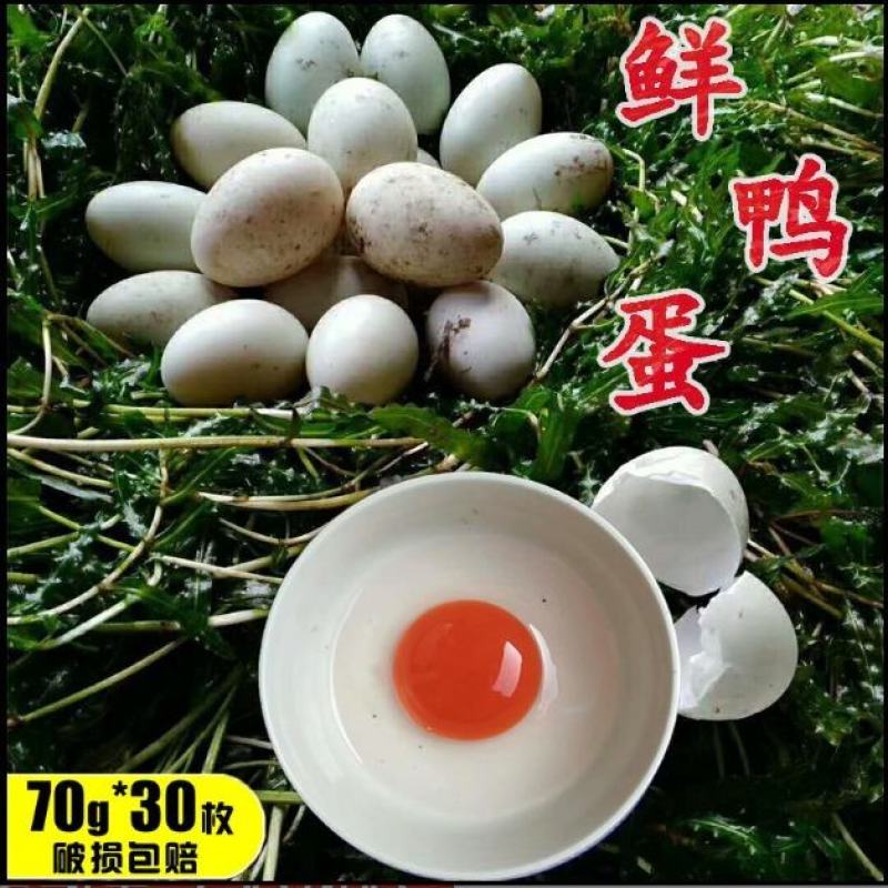 【大个】新鲜鸭蛋土鸭蛋生鸭蛋新鲜现发鸭蛋新鲜农村散养鸭蛋