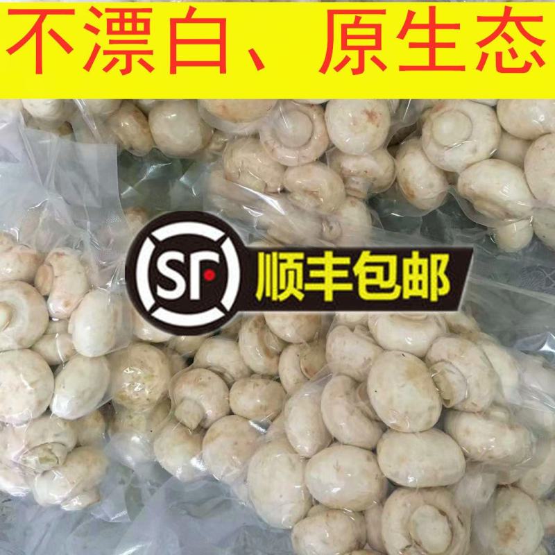 新鲜口蘑白蘑菇双孢菇山东基地现摘250克顺丰