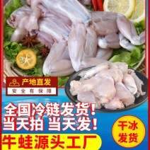 鲜活牛蛙肉现杀大蛙饭店烧烤商用半成品牛蛙批发