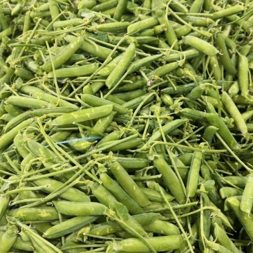 豌豆