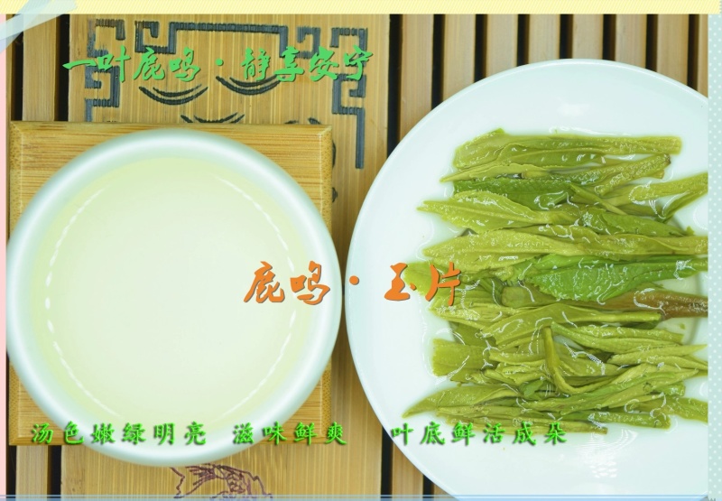 鹿鸣玉片：新茶120克四川宜宾珙县清明前特级高山绿茶！