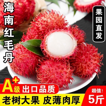 顺丰红毛丹孕妇水果毛荔枝品种当季新鲜大果番荔枝整箱包邮