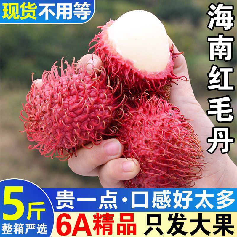 顺丰红毛丹孕妇水果毛荔枝品种当季新鲜大果番荔枝整箱包邮