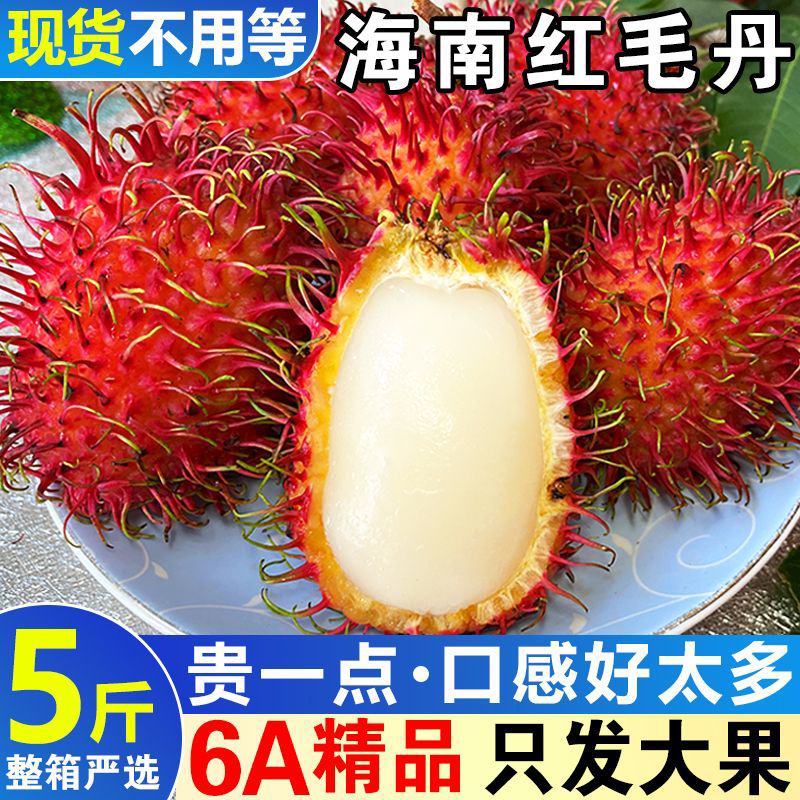 顺丰红毛丹孕妇水果毛荔枝品种当季新鲜大果番荔枝整箱包邮