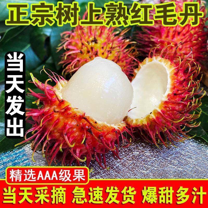 顺丰红毛丹孕妇水果毛荔枝品种当季新鲜大果番荔枝整箱包邮