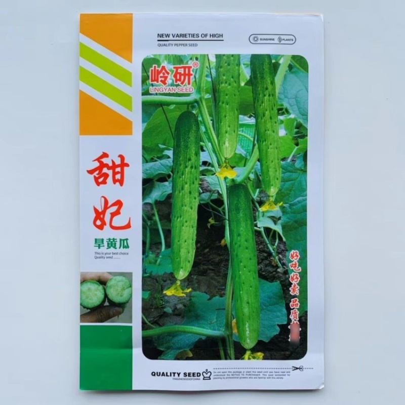 岭研甜妃旱黄瓜种子清香甜脆杂交长水果黄瓜种籽