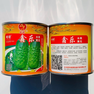 鑫乐水果黄瓜种子强雌性短棒型绿瓤绿肉味浓香甜