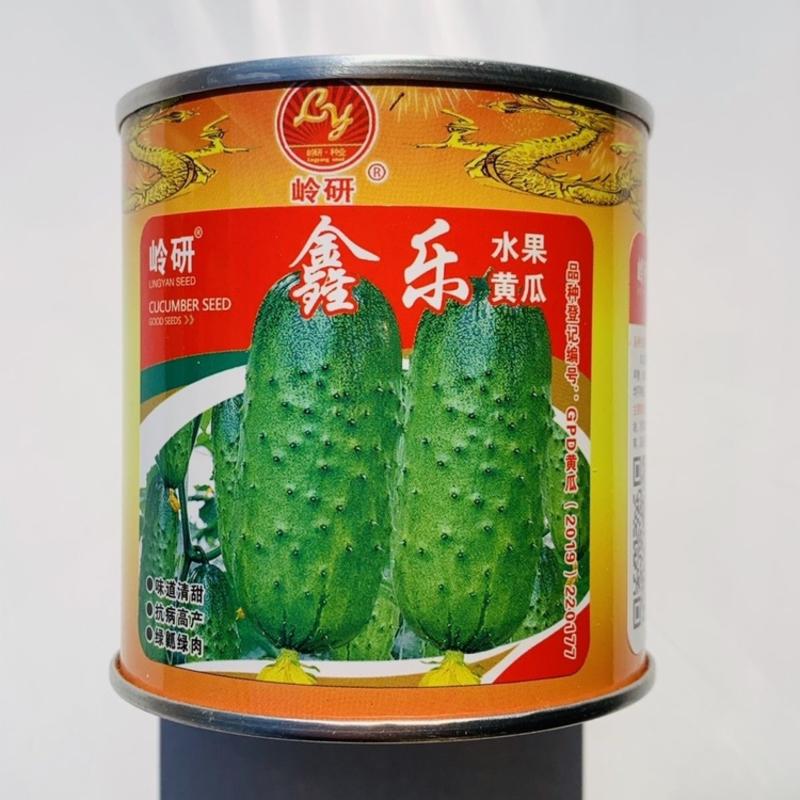 鑫乐水果黄瓜种子强雌性短棒型绿瓤绿肉味浓香甜