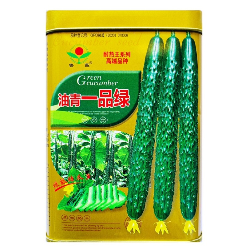 油青一品绿杂交密刺黄瓜种子耐热耐高温抗霜霉白粉病