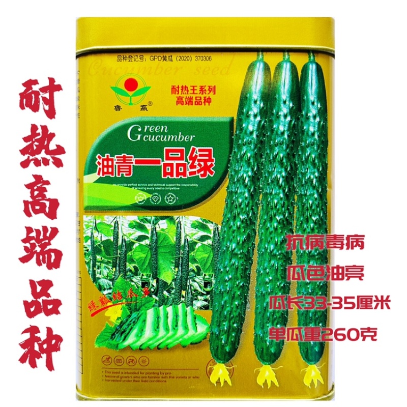 油青一品绿杂交密刺黄瓜种子耐热耐高温抗霜霉白粉病