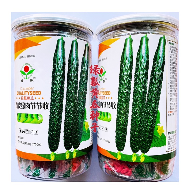 青皮青肉节节收密刺黄瓜种子大黄瓜油亮好吃育苗200克
