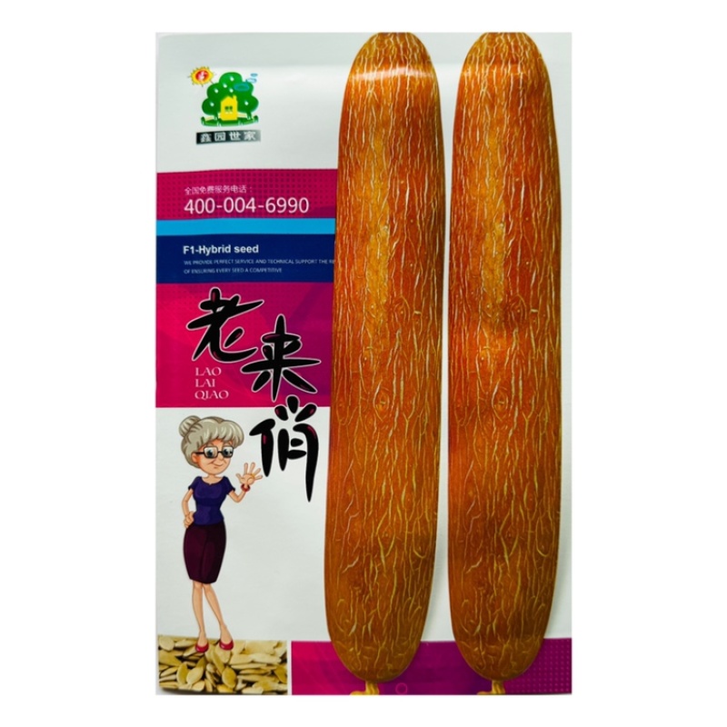 老来俏老黄瓜种子强雌麻皮黄瓜种子口味酸甜