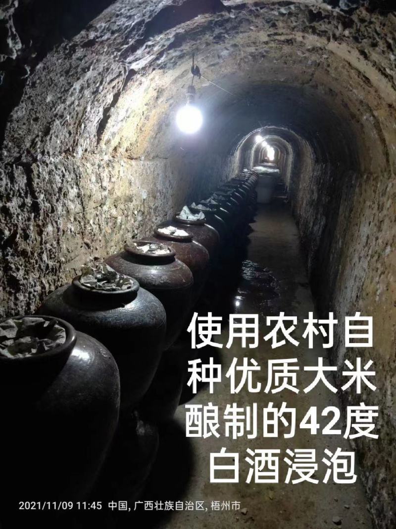 蒙恬青梅酒果酒男女士高低度甜酒农家自酿大米白酒浸泡梅子酒