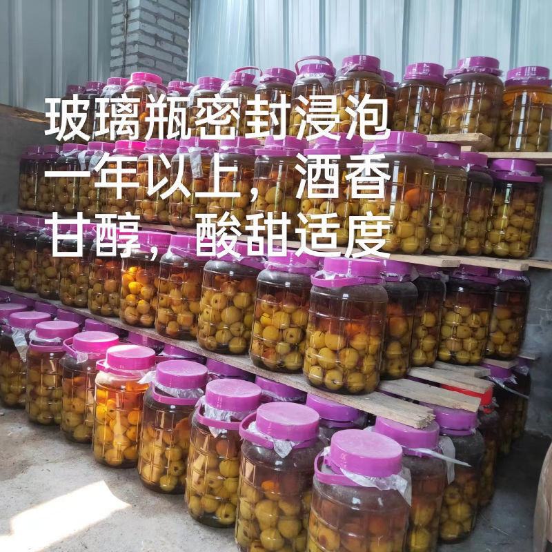 蒙恬青梅酒果酒男女士高低度甜酒农家自酿大米白酒浸泡梅子酒