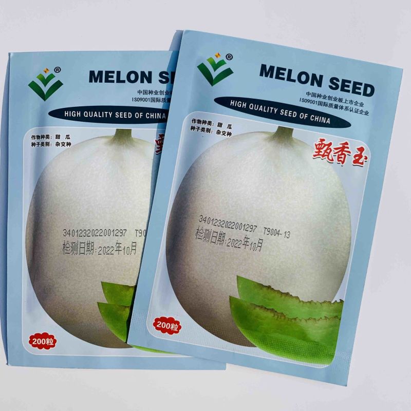 甄香玉甜瓜种子白皮玉菇青肉甜瓜200粒