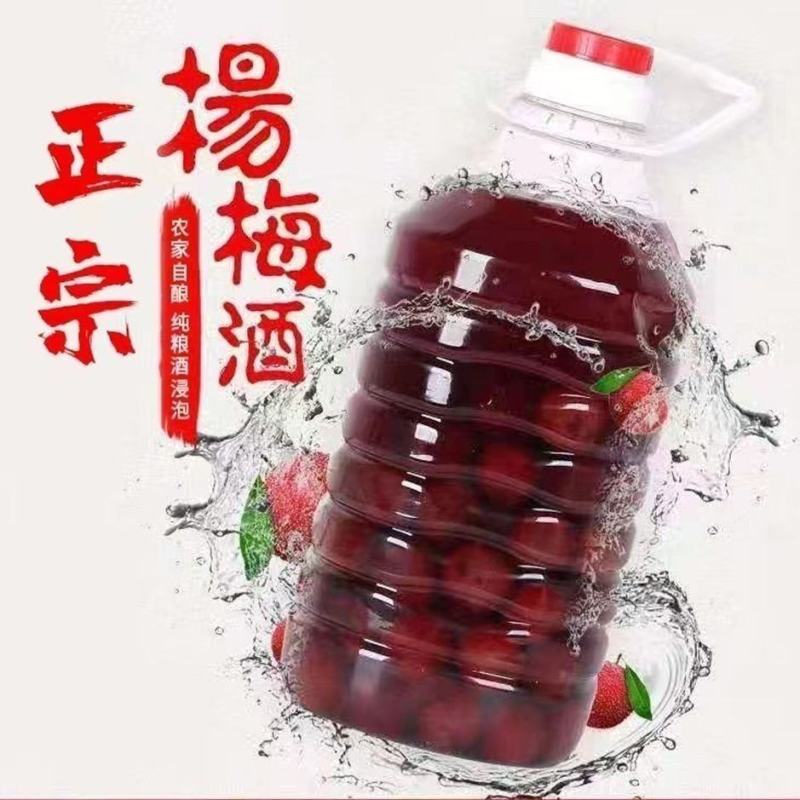 杨梅酒52度10斤高度农家自酿粮食烧酒浸泡杨梅果酒梅包邮