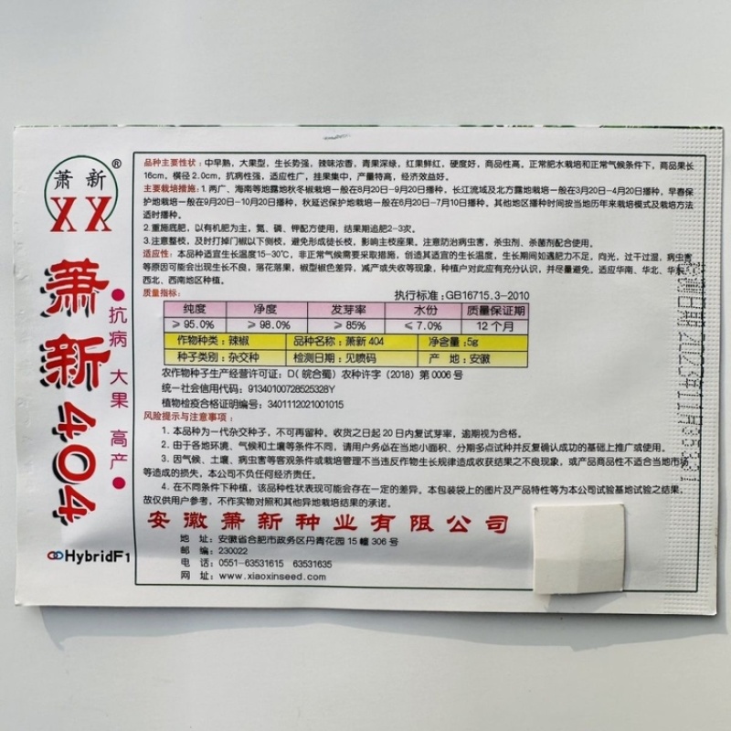 萧新408大果美人椒种子中早熟辣味浓香辣椒种子