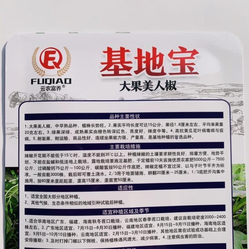 萧新408大果美人椒种子中早熟辣味浓香辣椒种子