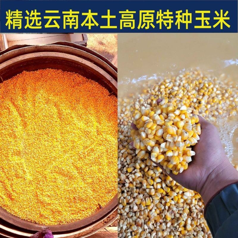 白酒粮食酒泡酒用自饮大桶散装云南玉米酒50度60度玉米酒