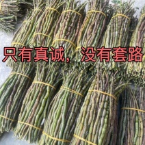 云南铁皮石斛鲜条5年鲜石斛新鲜可食用煲汤紫皮石斛包邮