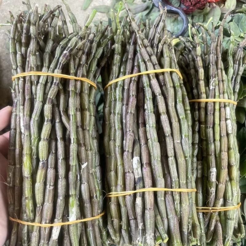云南铁皮石斛鲜条5年鲜石斛新鲜可食用煲汤紫皮石斛包邮
