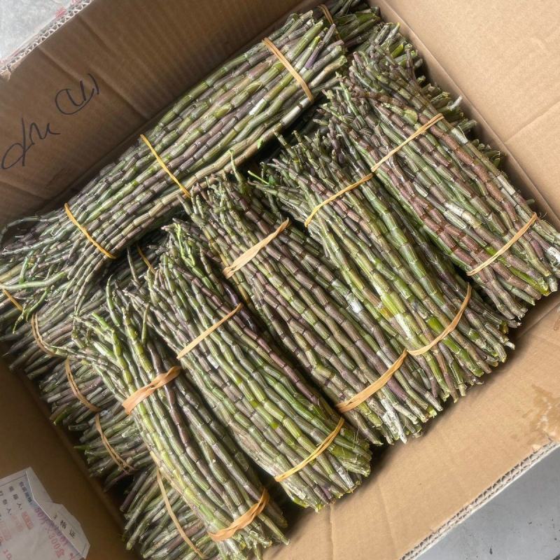 云南铁皮石斛鲜条5年鲜石斛新鲜可食用煲汤紫皮石斛包邮