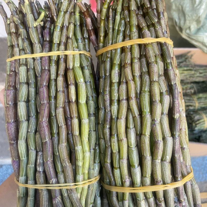 云南铁皮石斛鲜条5年鲜石斛新鲜可食用煲汤紫皮石斛包邮