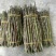 云南铁皮石斛鲜条5年鲜石斛新鲜可食用煲汤紫皮石斛包邮