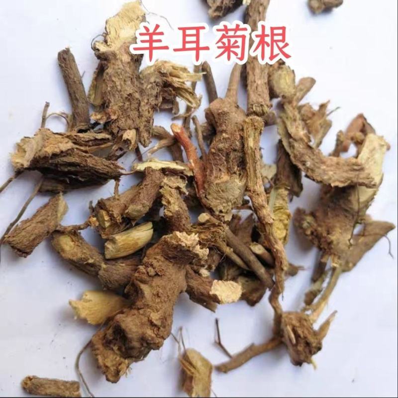 中药材羊耳菊根、白面风根、白牛胆根、白牛胆