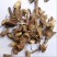 中药材羊耳菊根、白面风根、白牛胆根、白牛胆