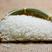 东北大米直销100斤50斤(分5个10斤发货)粳米珍珠米