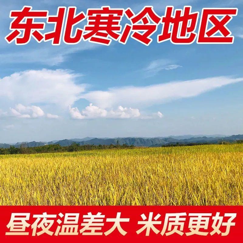 【东北大米新米】50斤批发晚稻大米20斤厂家直发黑龙江米