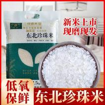 东北黑龙江大米新米5斤小袋珍珠米10斤长粒香米稻花香