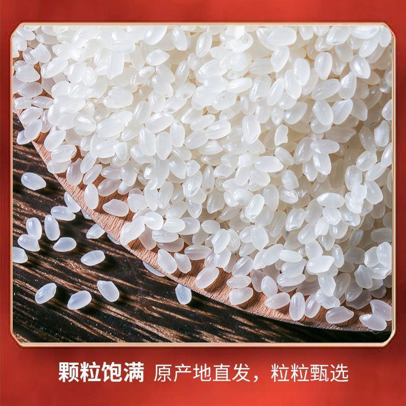 东北黑龙江大米新米5斤小袋珍珠米10斤长粒香米稻花香