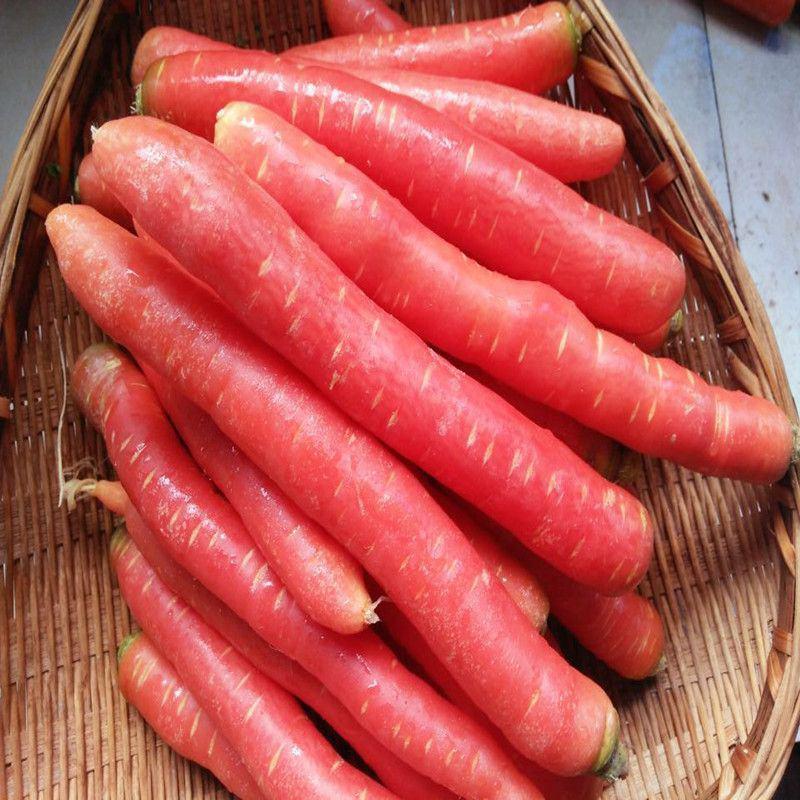 四川新鲜蔬菜胡萝卜特产红萝卜农家带泥红萝卜蔬菜红萝卜