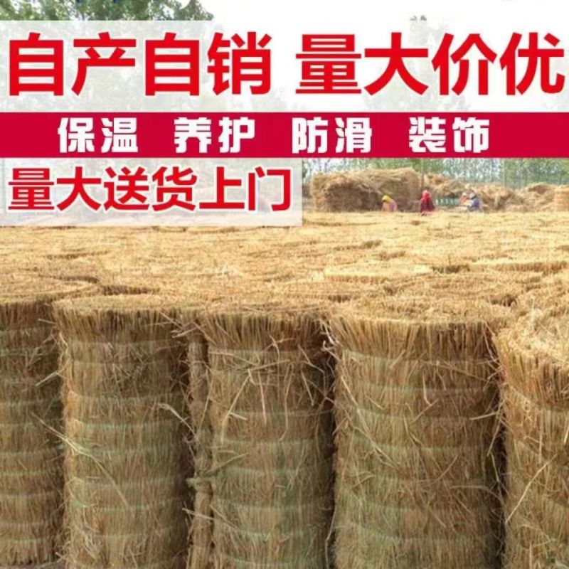 稻草苫草帘