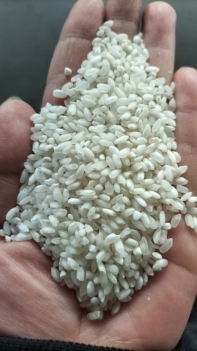 长年出售大米，稻壳，碎米