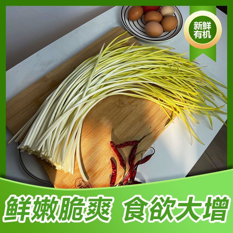 新鲜蒜黄批发价大蒜幼苗新鲜蔬菜时令青菜现割现整箱包邮