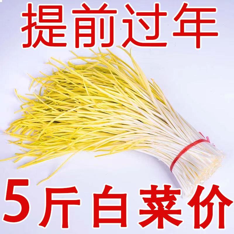新鲜蒜黄批发价大蒜幼苗新鲜蔬菜时令青菜现割现整箱包邮