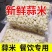 去皮大蒜新鲜蒜米剥皮大蒜去皮蒜米斤大蒜子去皮5斤包邮